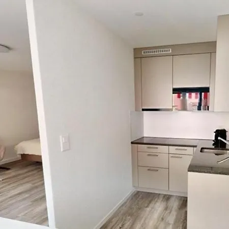 Apartmenthouse Rodtmatt - Zentral In 3* Berne