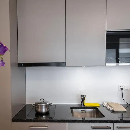 Hotel Apartmenthouse Rodtmatt - Zentral In 3*