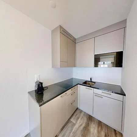 Apartmenthouse Rodtmatt - Zentral In Hotell 3*